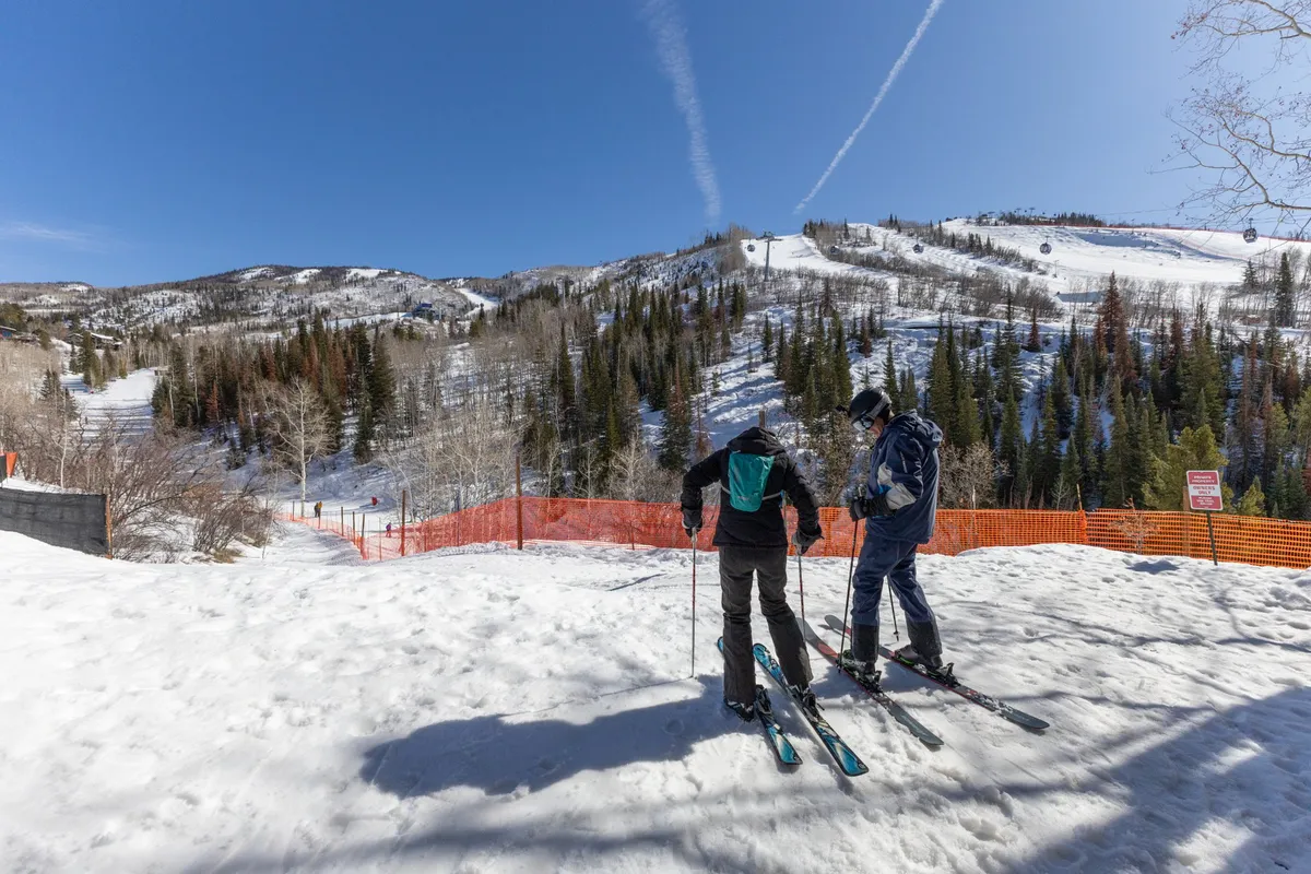 A lively scene of skiers preparing to descend snow-covered slopes, framed by pine trees and pristine mountain views. The image exudes the thrill and camaraderie of a day on the mountain, echoing the group adventure spirit.