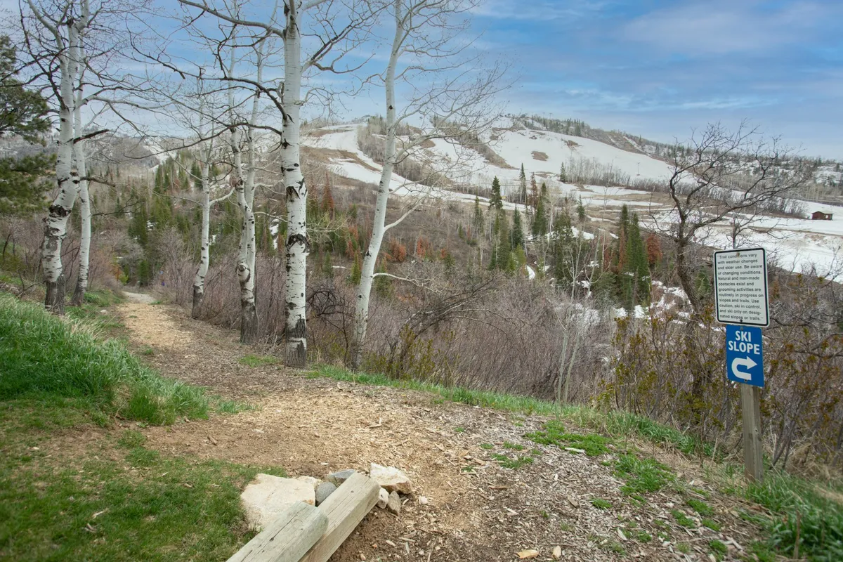 A serene scene of a ski slope sign nestled among aspen trees and rolling hills, with the landscape transitioning from snow to green—suggesting year-round access to hiking and nature walks near the property.